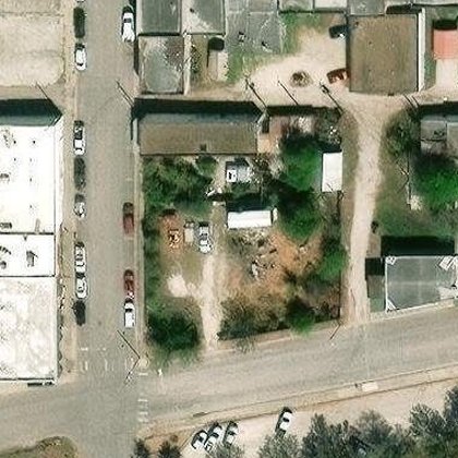 Satellite view, March 2025 — the food forest in canopy